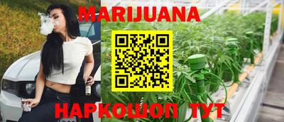 прущие грибы Будённовск